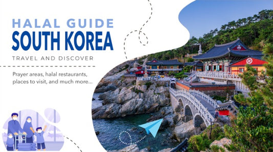Halal tour guide for practicing Muslims visiting South Korea